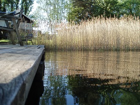 See16