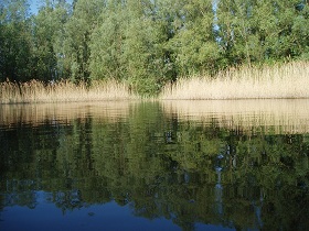 See8