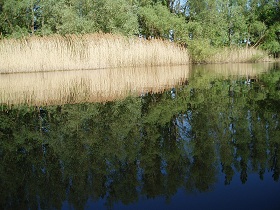 See10