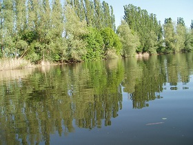 See11